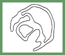 C2